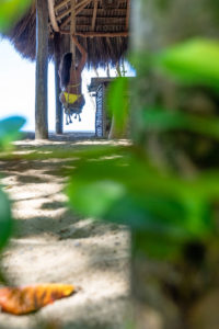 Amerika, Karibik, Große Antillen, Dominikanische Republik, Cabarete, Frau sitzt auf einer Schaukel an der Beachbar des Natura Cabana Boutique Hotel & Spa Amerika, Karibik, Große Antillen, Dominikanische Republik, Cabarete, Frau sitzt auf einer Schaukel an der Beachbar des Natura Cabana Boutique Hotel & Spa